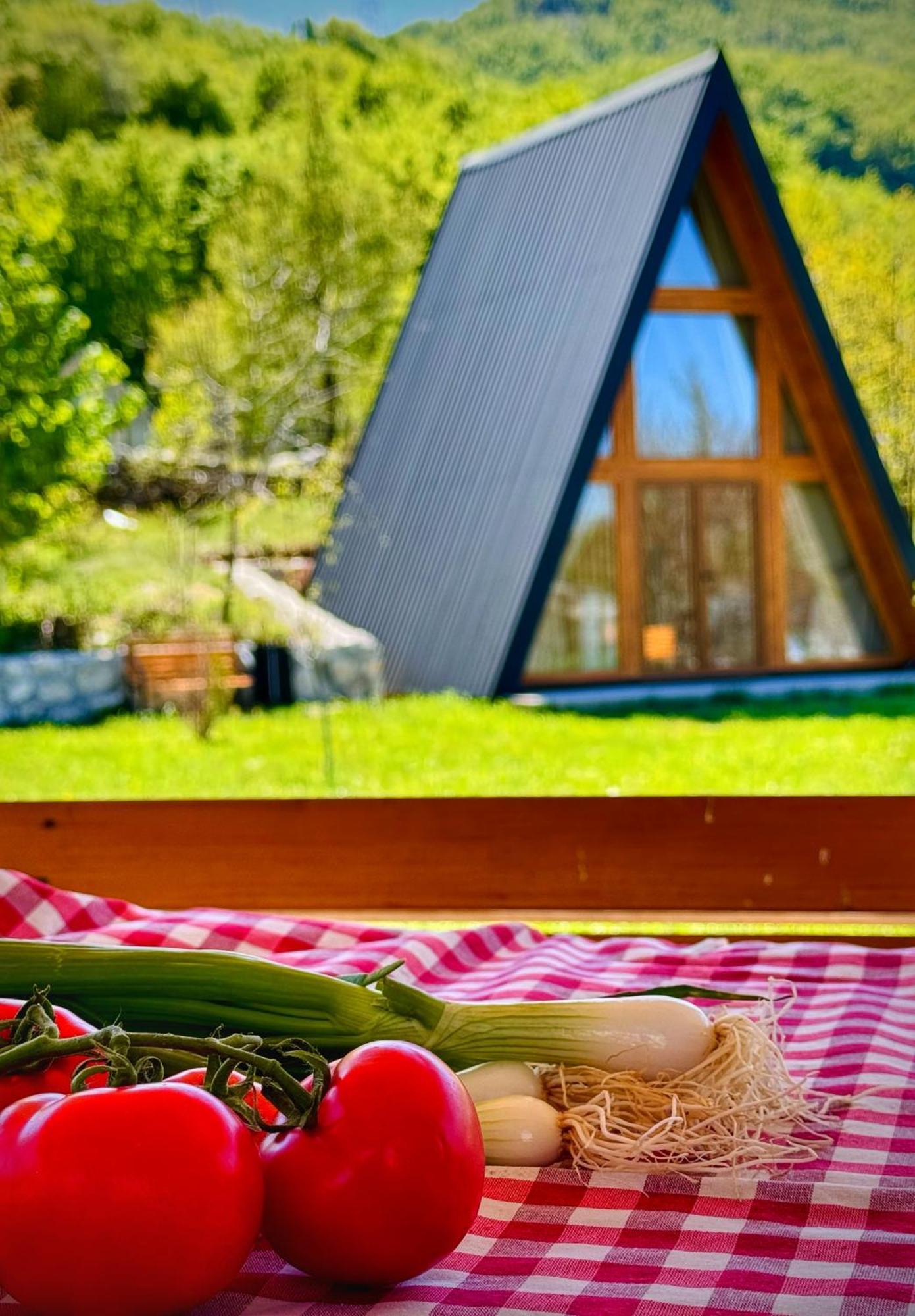 Вилла Albero Casa Цетине Экстерьер фото