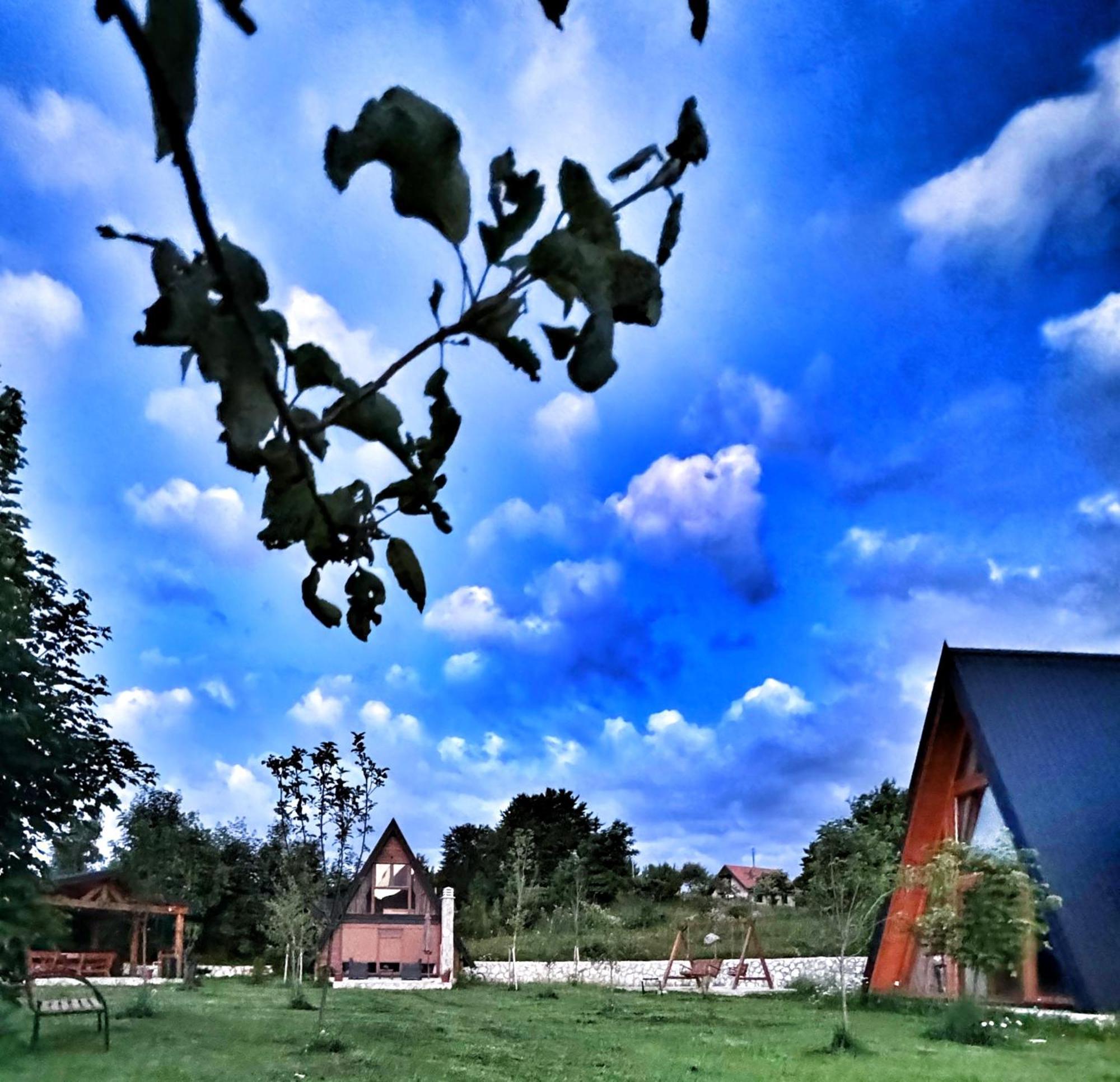 Вилла Albero Casa Цетине Экстерьер фото
