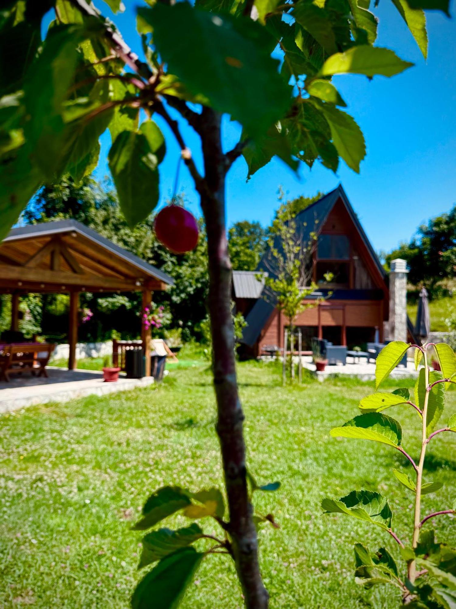 Вилла Albero Casa Цетине Экстерьер фото